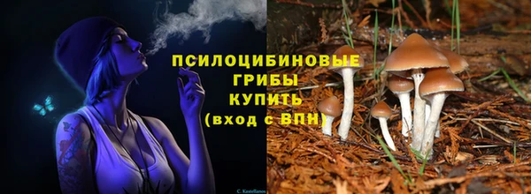 стафф Алексин
