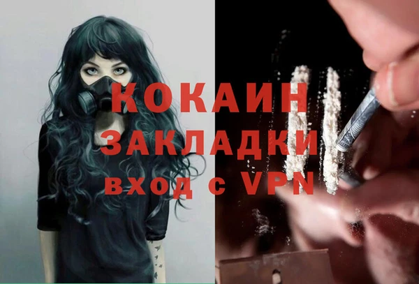 стафф Алексин