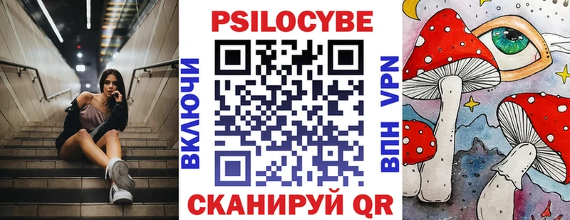 Псилоцибиновые грибы Cubensis  Лесной 
