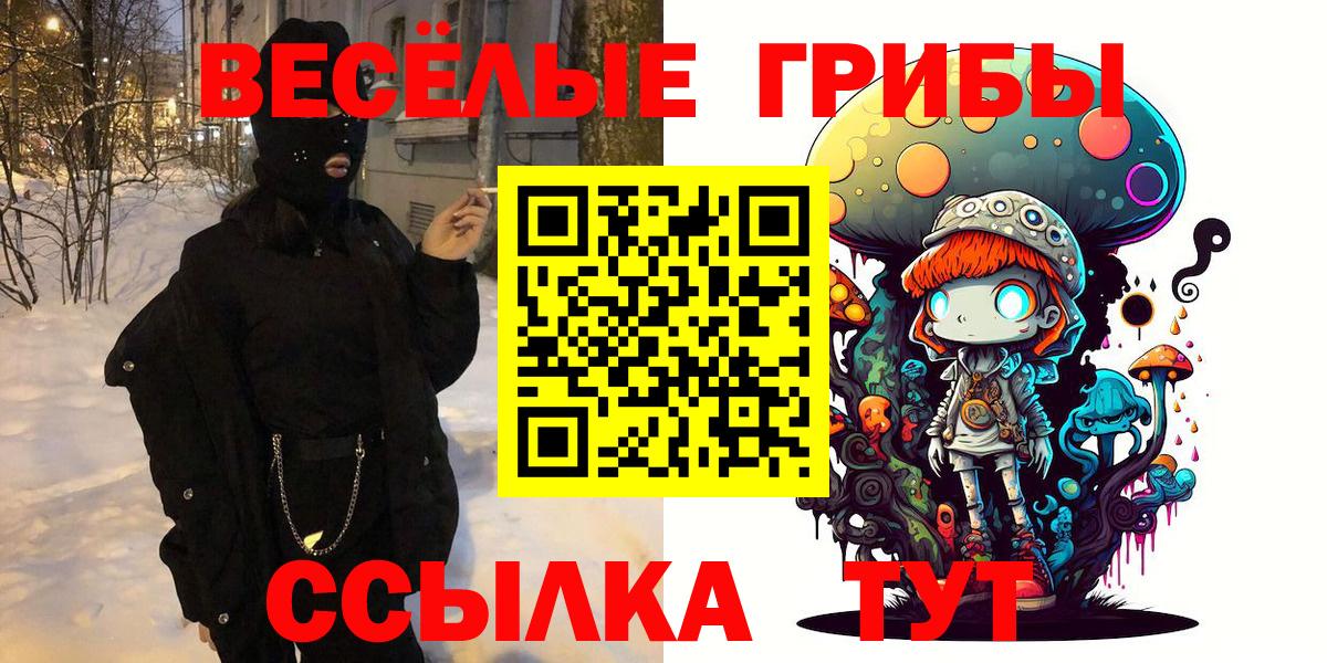 Псилоцибиновые грибы Psilocybe Лесной