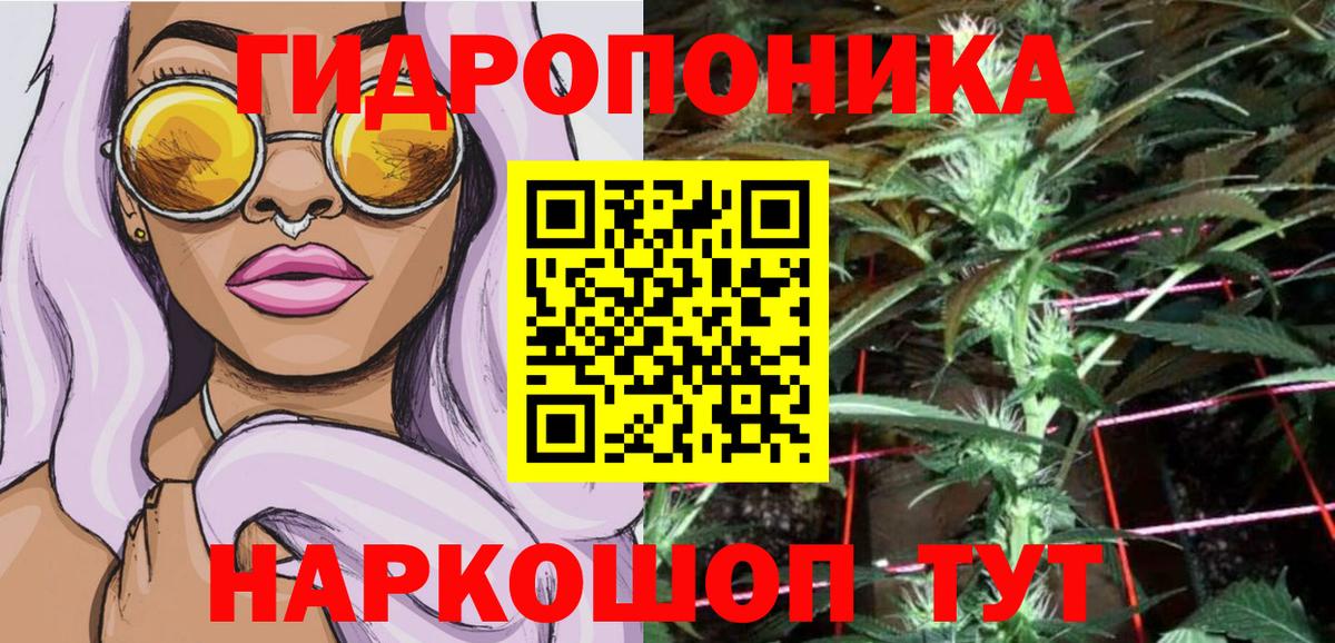 Бошки Шишки семена  Марихуана VHQ  Шишки марихуана AK-47  Вход с VPN  Лесной 
